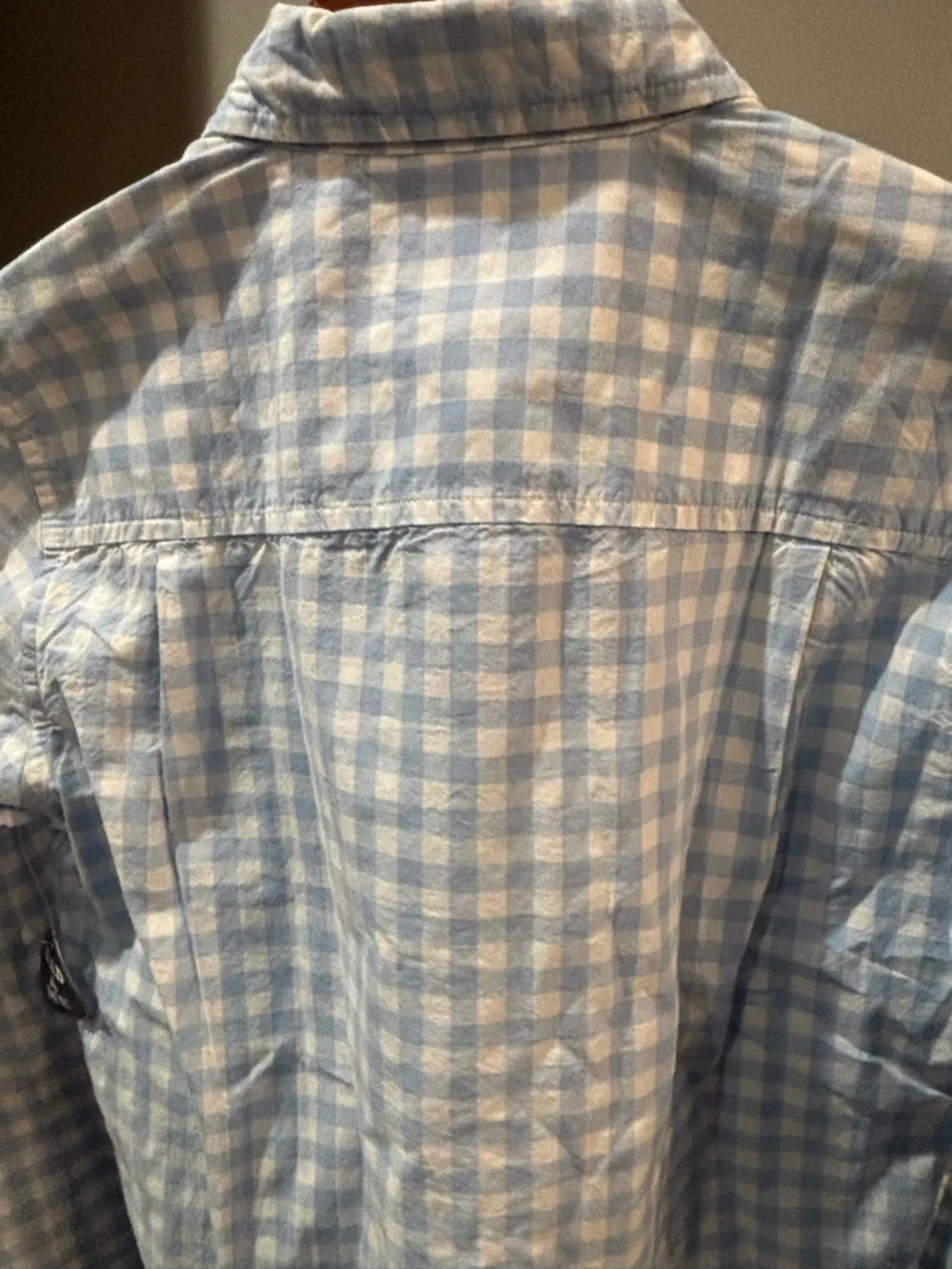 NWT ✨ The Children's Place Blue and White Gingham Button-Down Shirt XL/14